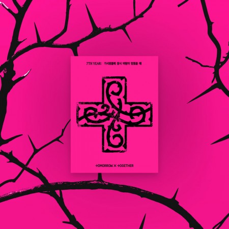 TXT - 7TH YEAR: A MOMENT OF STILLNESS IN THE THORNS 8TH MINI ALBUM