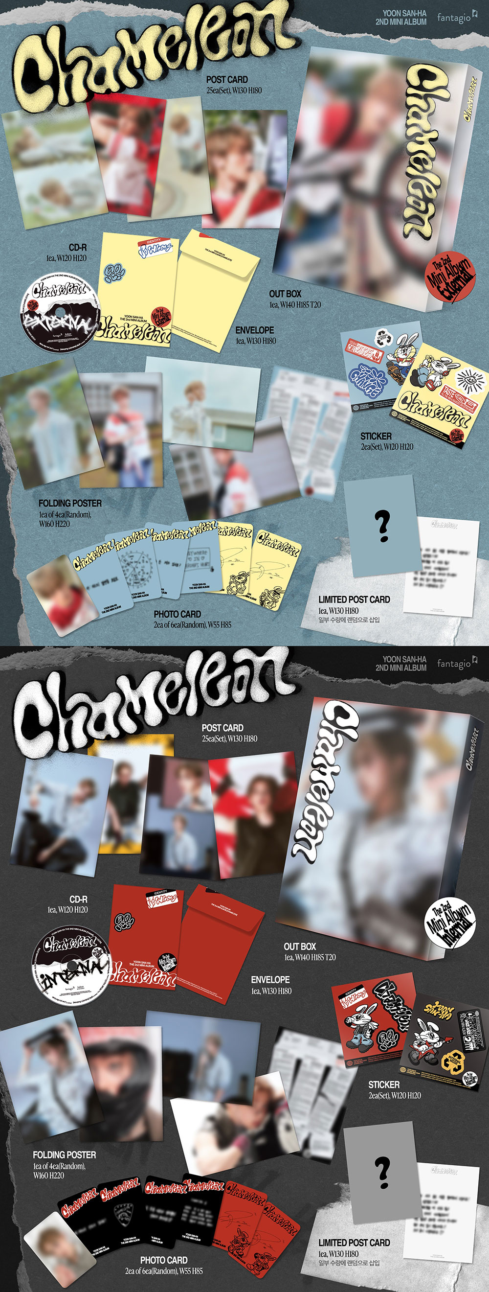yoonsanha-chameleon.jpg