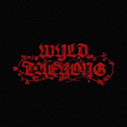 NCT TAEYONG - WYLD 1ST ALBUM WYLD BOOK VER- PRE-ORDER