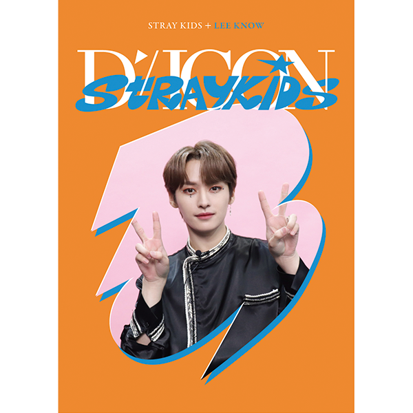 STRAY KIDS- DICON DFESTA MINI EDITION