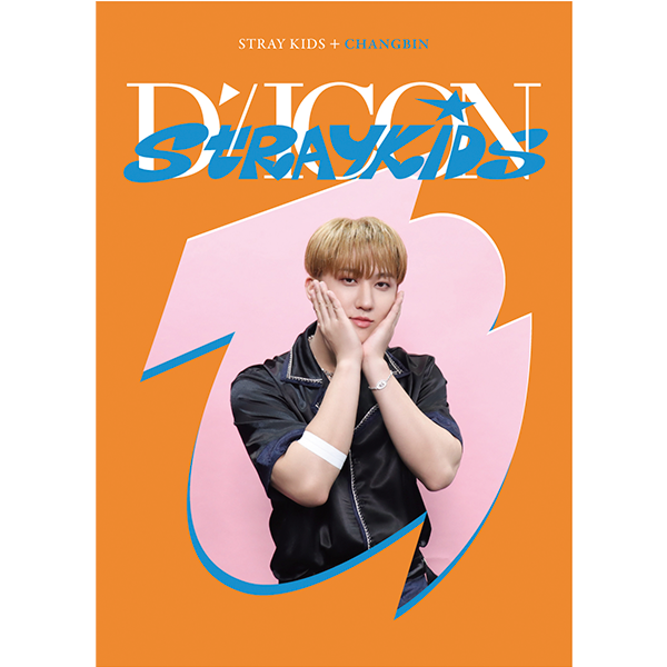 STRAY KIDS- DICON DFESTA MINI EDITION