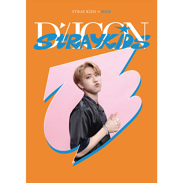 STRAY KIDS- DICON DFESTA MINI EDITION