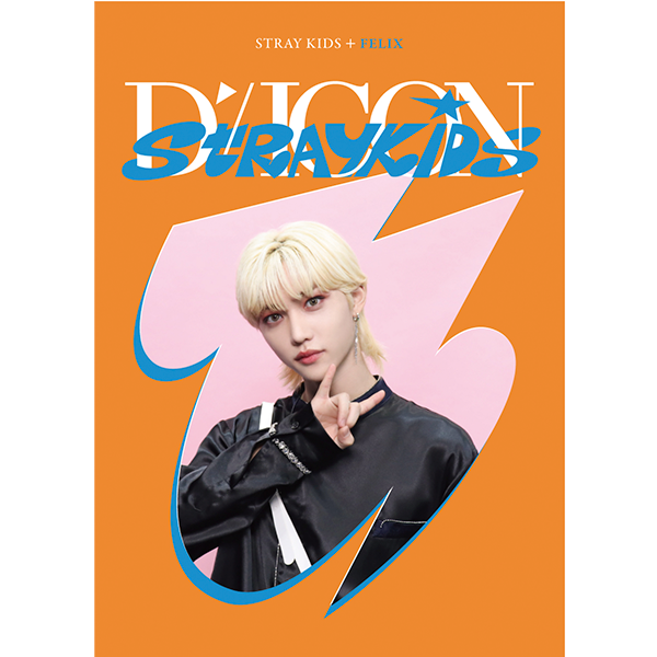 STRAY KIDS- DICON DFESTA MINI EDITION