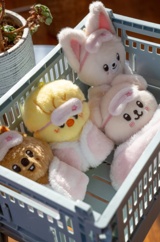 STRAY KIDS - SKZOO PLUSH 10CM Ver. - STAY in Our Little House- PRE-ORDER