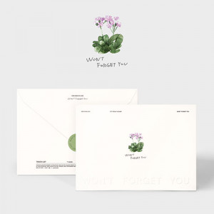 KIM SUNG KYU (INFINITE) - WON´T FORGET YOU