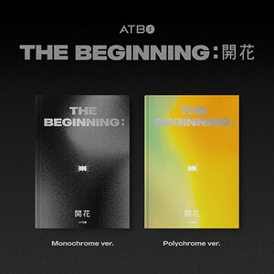 ATBO - THE BEGINNING