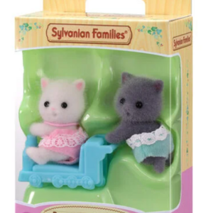 Gemelos Gato Persa