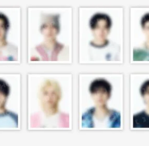 STRAY KIDS - dominATE : celebrATE WORLD TOUR OFFICIAL MD ID PHOTO SET- PRE-ORDER