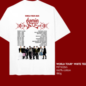 STRAY KIDS- CAMISETA WORLD TOUR