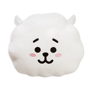 BT21- RJ PILLOW