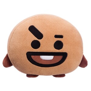 BT21- SHOOKY PILLOW