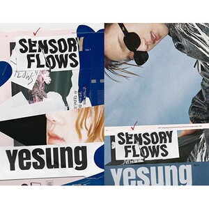 YESUNG- Sensory Flows